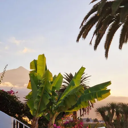 Lovely La Palmita * La Victoria de Acentejo