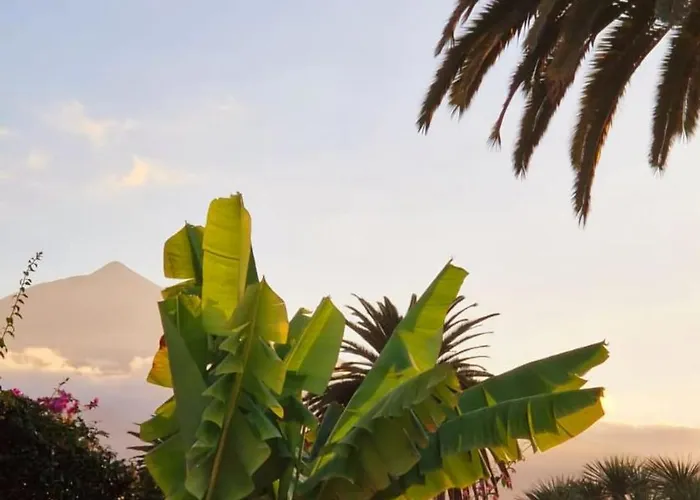 Lovely La Palmita * La Victoria de Acentejo